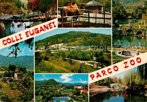 Colli Euganei Parco Zoo Parco di Monte Lonzina Zoolog