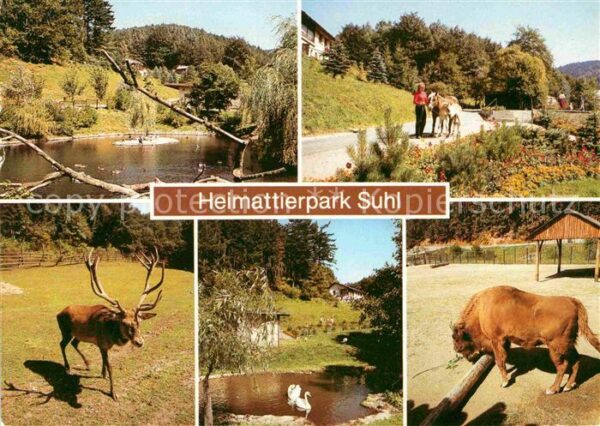 Suhl Thueringer Wald Heimtierpark