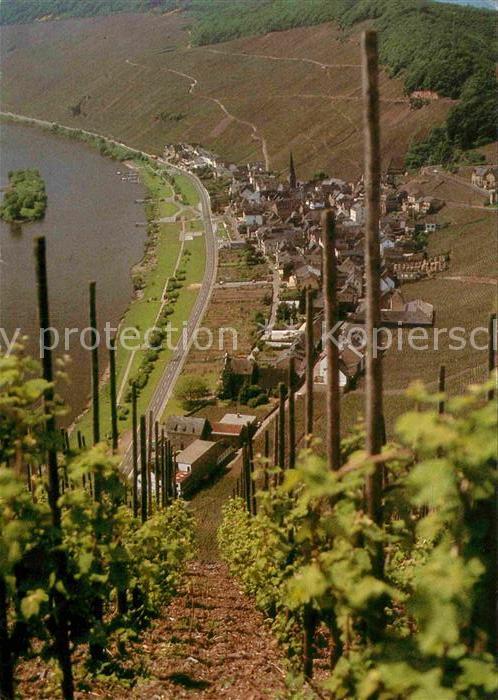 Uerzig Panorama