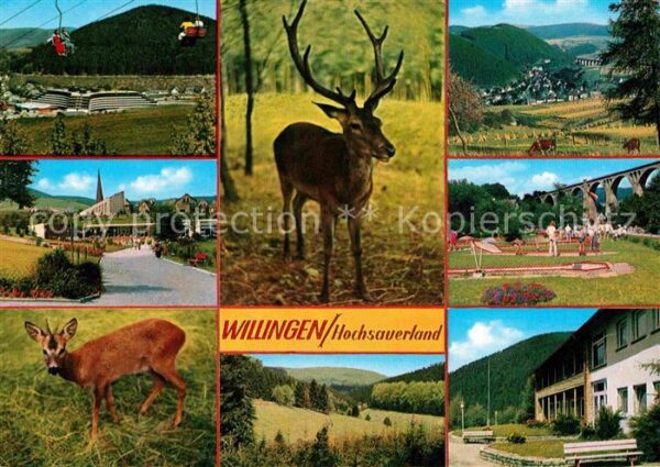 Willingen Sauerland Viadukt Minigolf Tierpark Sportanlagen