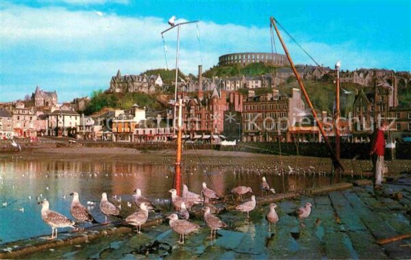 Oban Harbour Hafen Möwen
