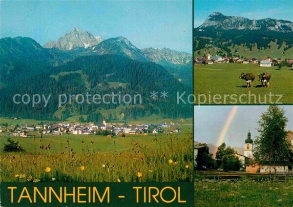 Tannheim Tirol Gesamtansicht mit Alpenpanorama Kühe Ki