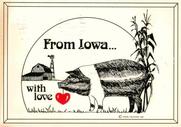 Iowa US-State Farmland Schwein Herz Zeichnung Künstle