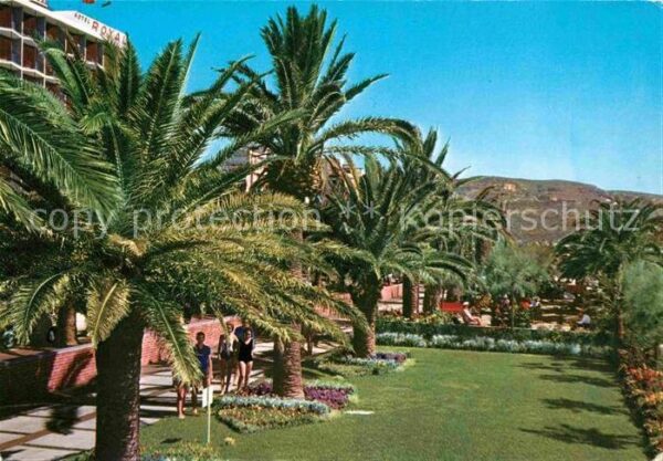 Pietra Ligure Promenade Palmen Riviera delle Palme