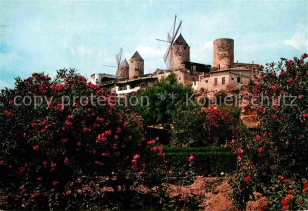 Palma de Mallorca Molinos del Jonquet