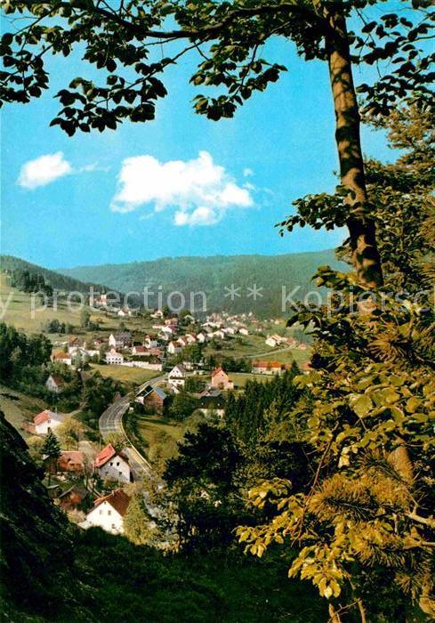 Warmensteinach Blick vom Höllfelsen