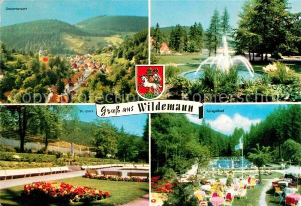 Wildemann Gesamtansicht Fontäne Kurpark Spiegelba