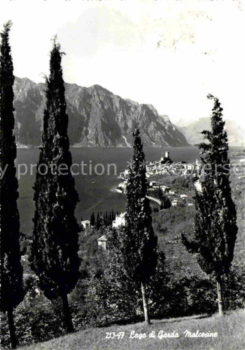 Malcesine Lago di Garda Panorama