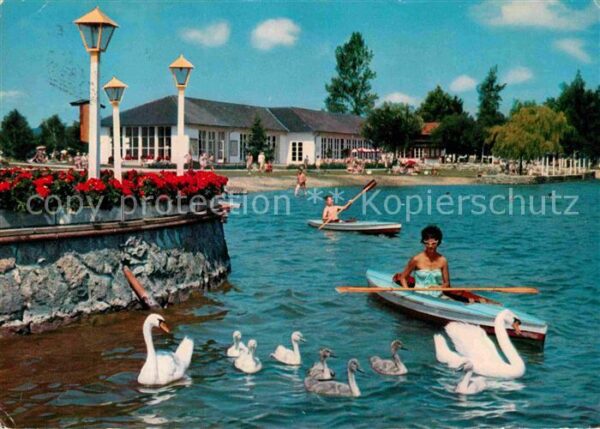 Waging See Strandkurhaus Schwanenfamilie