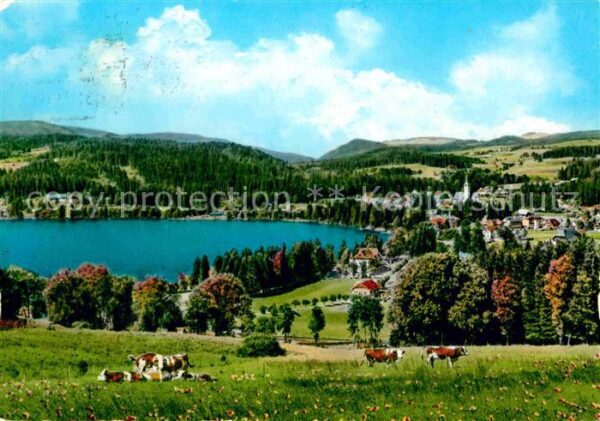 Titisee Panorama