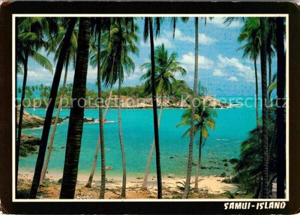 Samui Thailand Noi Beach