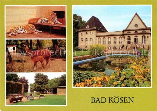 Bad Koesen Tierpark Tiger Lama Volkssolbad Badehau