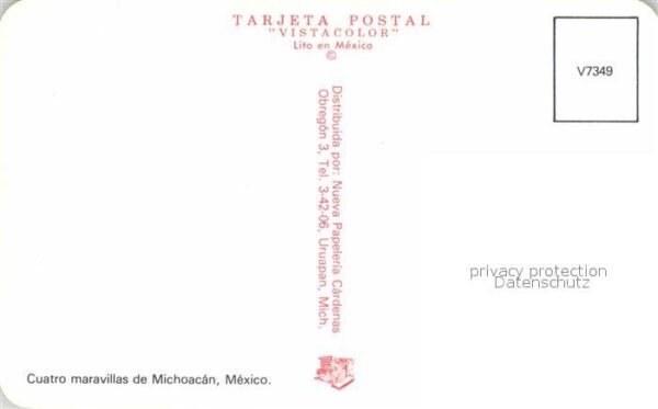 Schmetterlinge Vulkan Cuatro Maravillas de Michocan Me – Bild 2