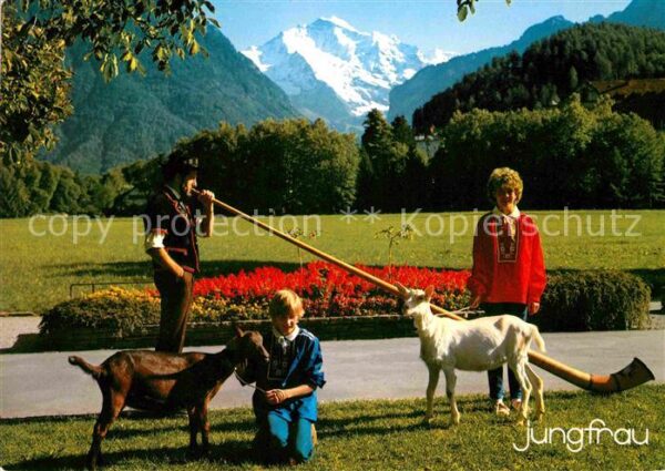 Alphorn Alphornbläser Ziegen Interlaken Jungfra