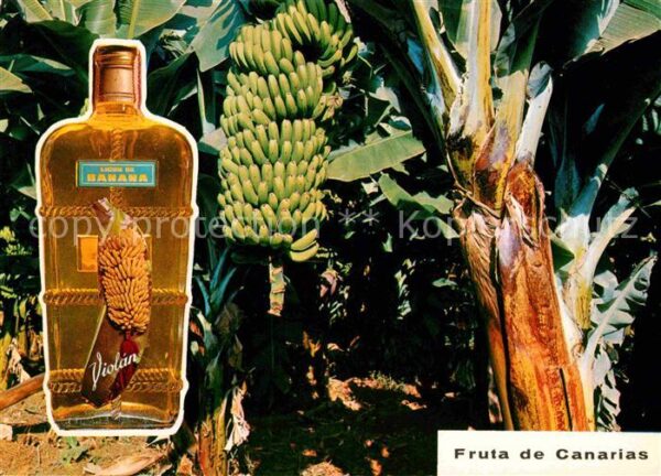 Bananen Licor de Banana Gran Canaria