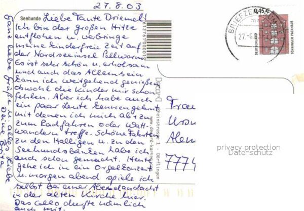 Seehunde Robben – Bild 2