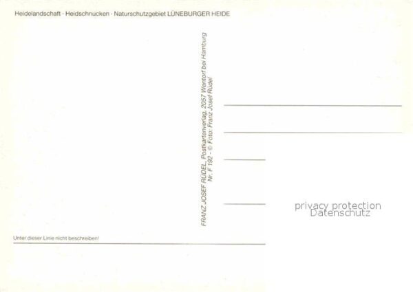 Schafe Heidschnucken Lüneburger Heide Heidelan – Bild 2