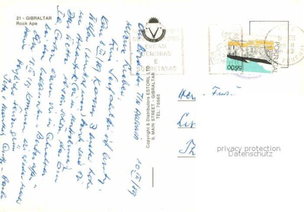 Affen Gibraltar Rock Ape – Bild 2