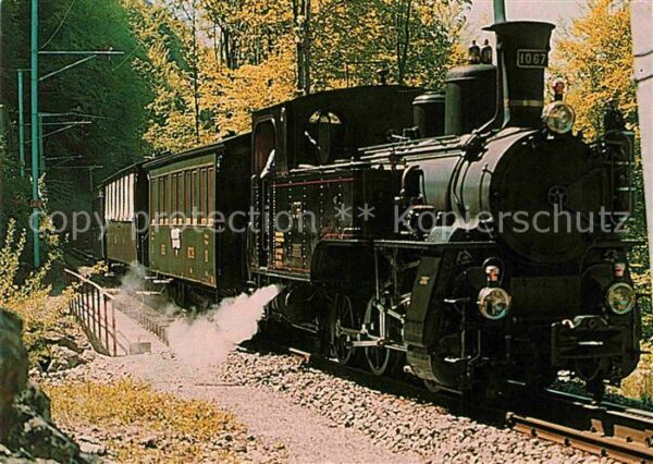 Lokomotive Dampfzug Brünig Ballenberg-Dampfbahn Br