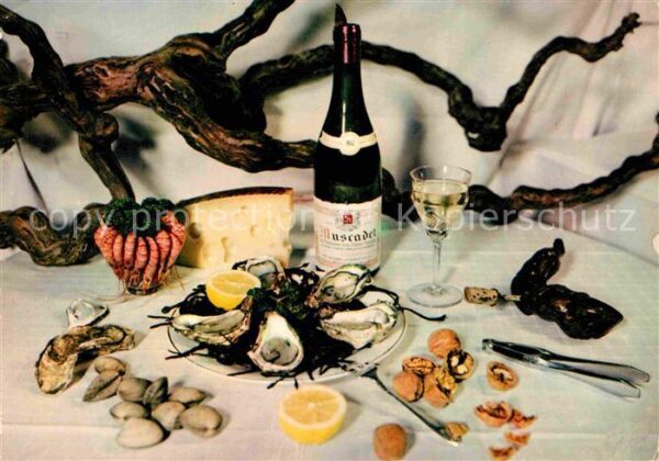 Lebensmittel Fruits de Mer Degustation France