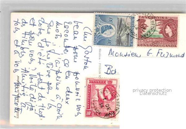 Voegel Marabou Storks Queen Elizabeth National – Bild 2