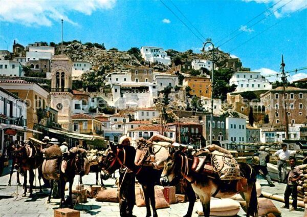Hydra Greece Die Perle von Saronikos Hafen Esel Last