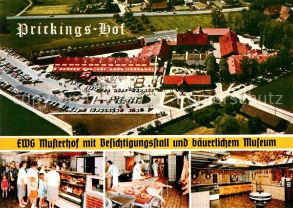 Sythen Prickingshof Westfälischer EWG Musterho