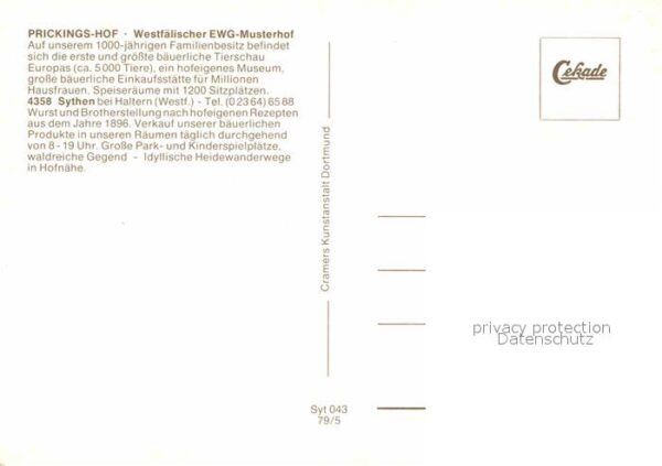 Sythen Prickingshof Westfälischer EWG Musterho – Bild 2