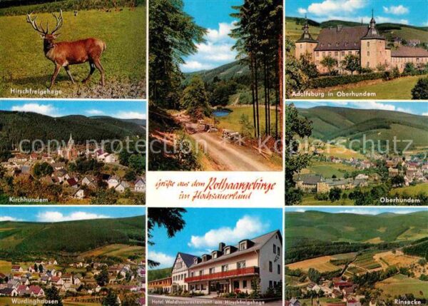 Rinsecke Hirschfreigehege Rothaargebirge Kirchhu