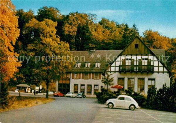 Warstein Waldhotel Tropfsteinhöhle mit Wild Frei