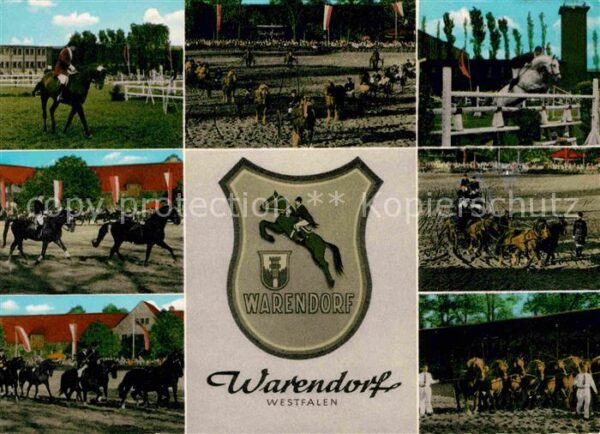 Warendorf Gestüt Pferdesport