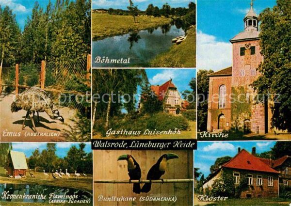 Walsrode Lueneburger Heide Vogelpark Rieselbach Ziergeflügelfarm K