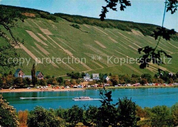 Traben-Trarbach Campingplatz Rissbach an der Mosel Corn