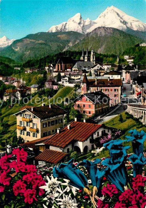 Berchtesgaden mit Watzmann Alpenflora Blauer Enzian E