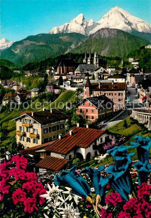 Berchtesgaden mit Watzmann Alpenflora Blauer Enzian E
