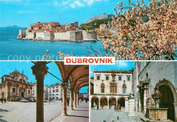 Dubrovnik Ragusa Panorama Altstadt Festung Baumblüte Pla