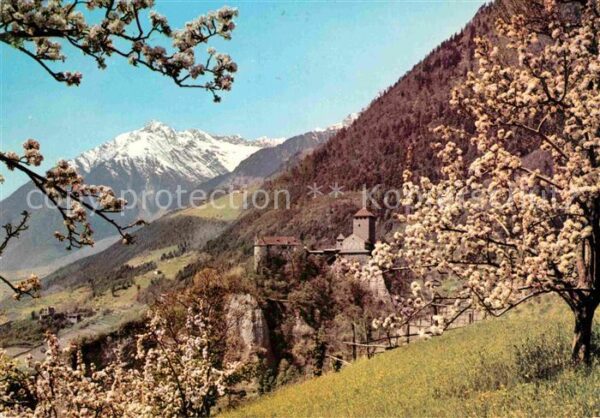 Meran Merano Castel Tirolo e Cima Tessa Schloss Tiro