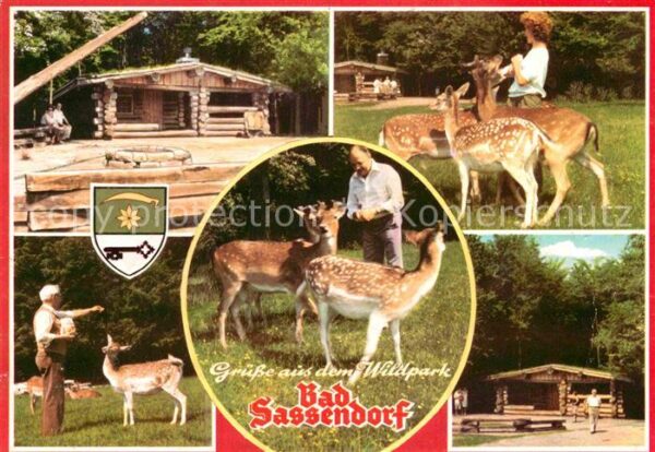 Bad Sassendorf Freiherr von Wintzigerode Wildpark Rehk