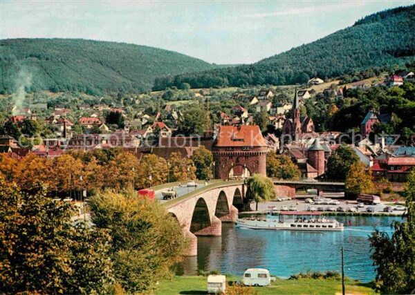 Miltenberg Main Mainbrücke Ausflugsdampfer