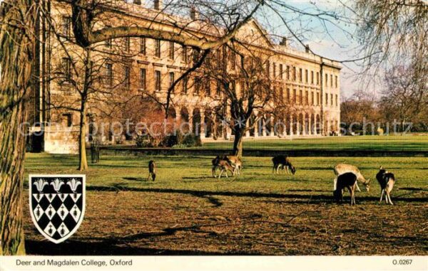 Oxford Oxfordshire Deer and Magdalen College