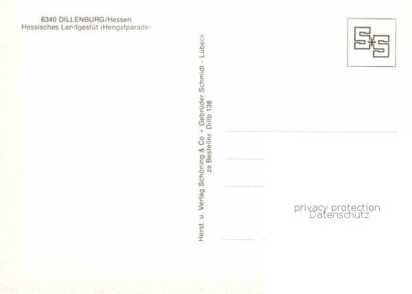 Dillenburg Hessisches Landsgestüt Pferde – Bild 2