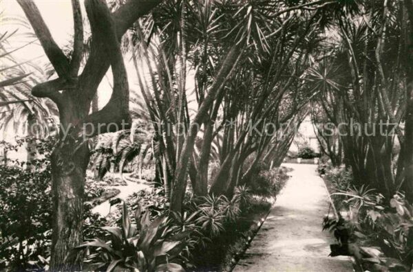 Alger Algerien Hotel St. George Jardin