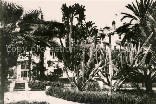 Alger Algerien Hotel St. George Jardin