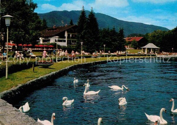 Bad Wiessee Kuranlagen am See mit Schwänen