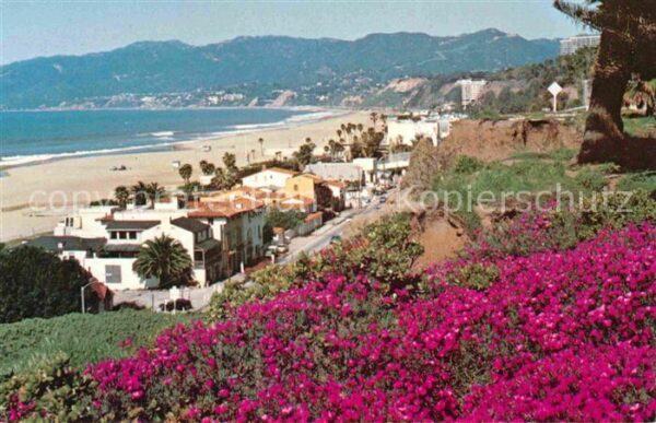 Santa Monica Serenity by the sea