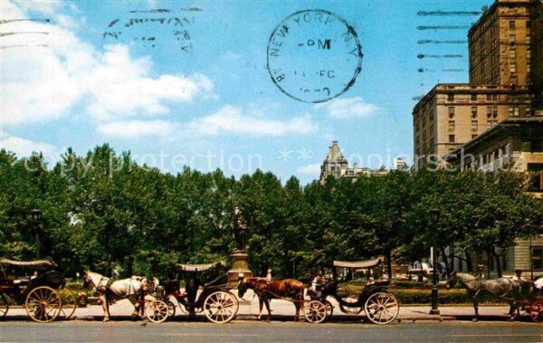 New York City Carriages on 59th Street Pferdedroschke