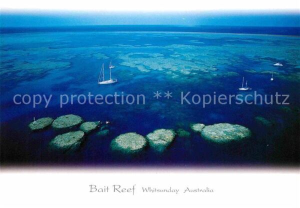 Whitsunday Island Bait Reef aerial view