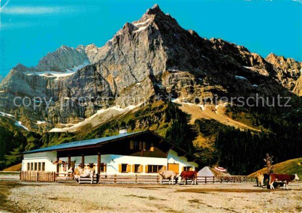 Eng Alm Karwendelgebirge Almvieh Kühe
