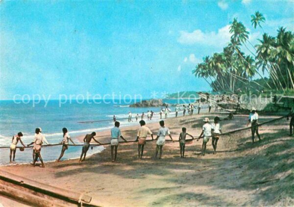 Negombo Drag net fishing