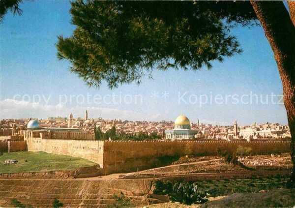 Jerusalem Yerushalayim Temple Area eastern Wall seen from Moun
